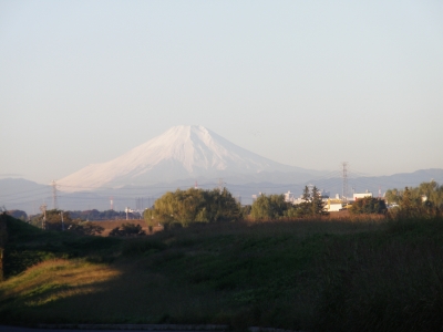 PB190352.jpg