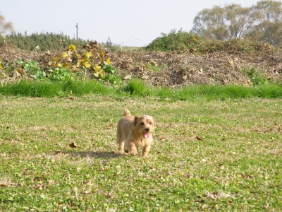 PC100514.jpg