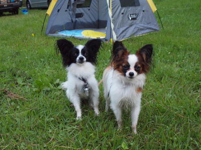 camp46.jpg