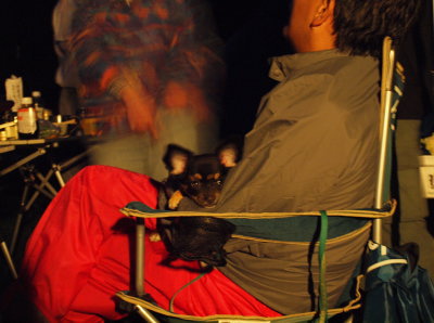 camp48.jpg