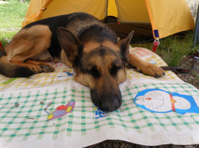 camp5.jpg