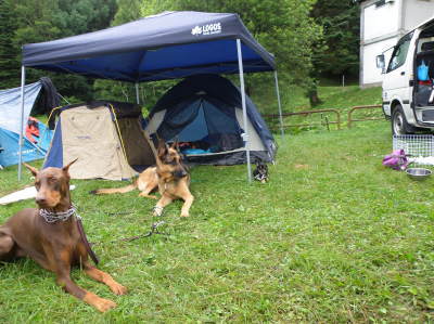 camp52.jpg