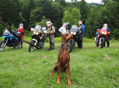 camp53.jpg