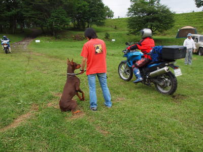 camp55.jpg