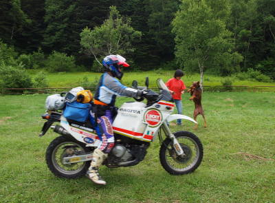 camp59.jpg