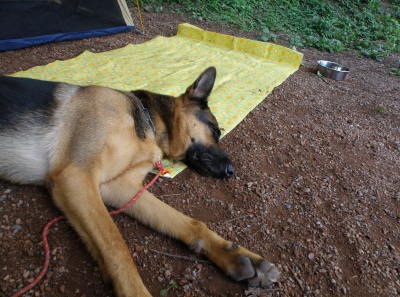 camp64.jpg