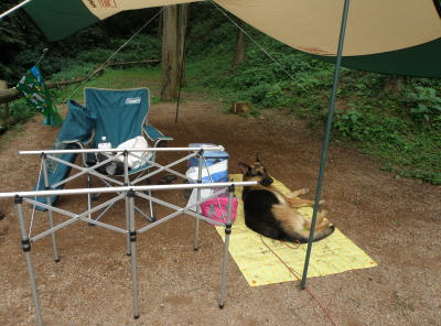 camp68.jpg