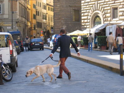 inu_firenze3.jpg