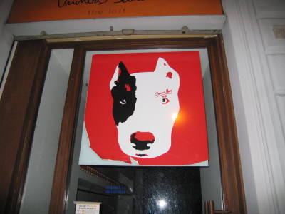 inu_firenze6.jpg