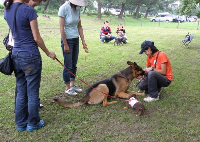 situke09-7-11.jpg