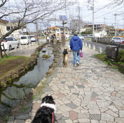 yakurobi4.jpg